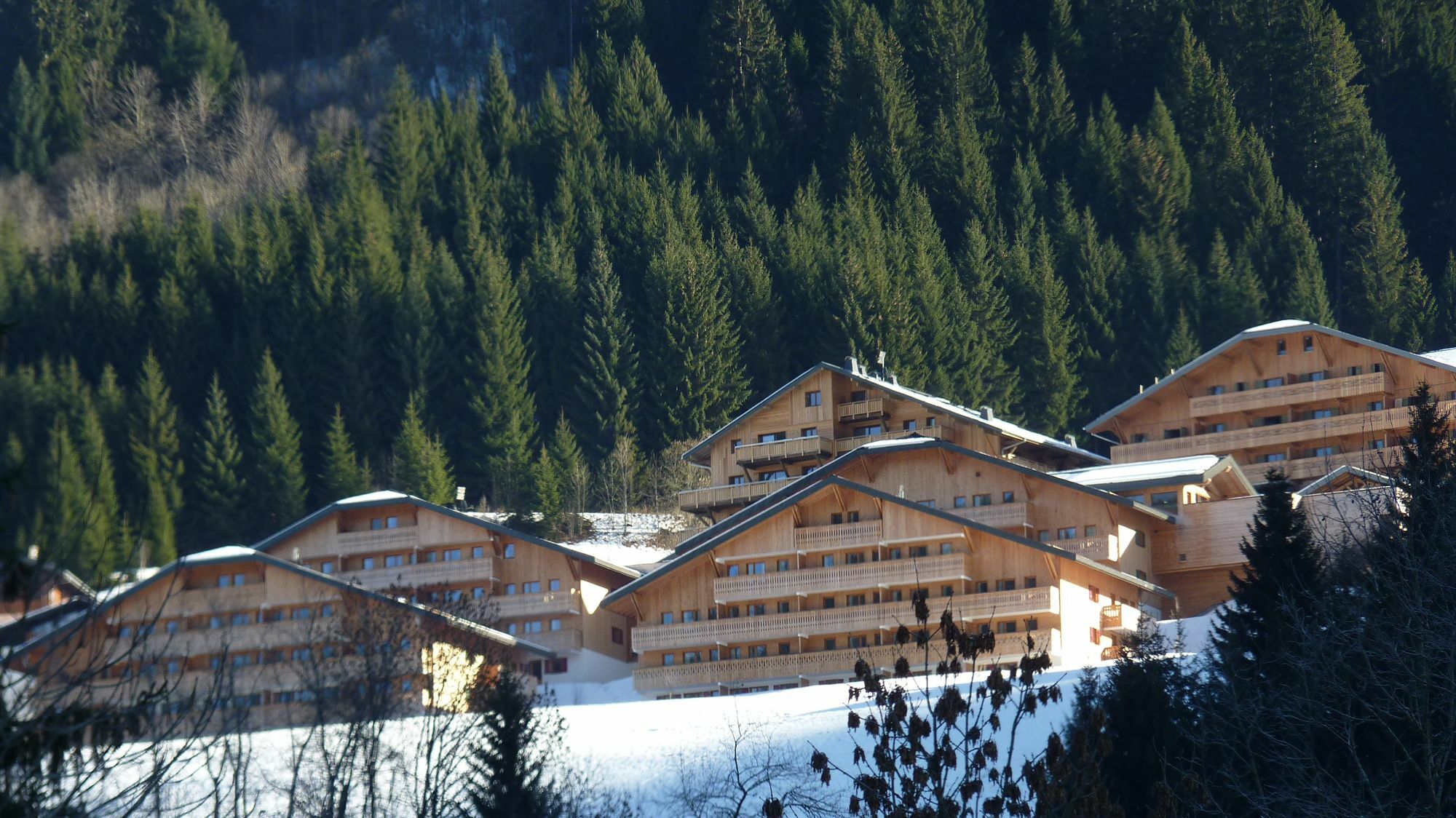 Residence Nemea Le Grand Lodge Châtel Exteriör bild