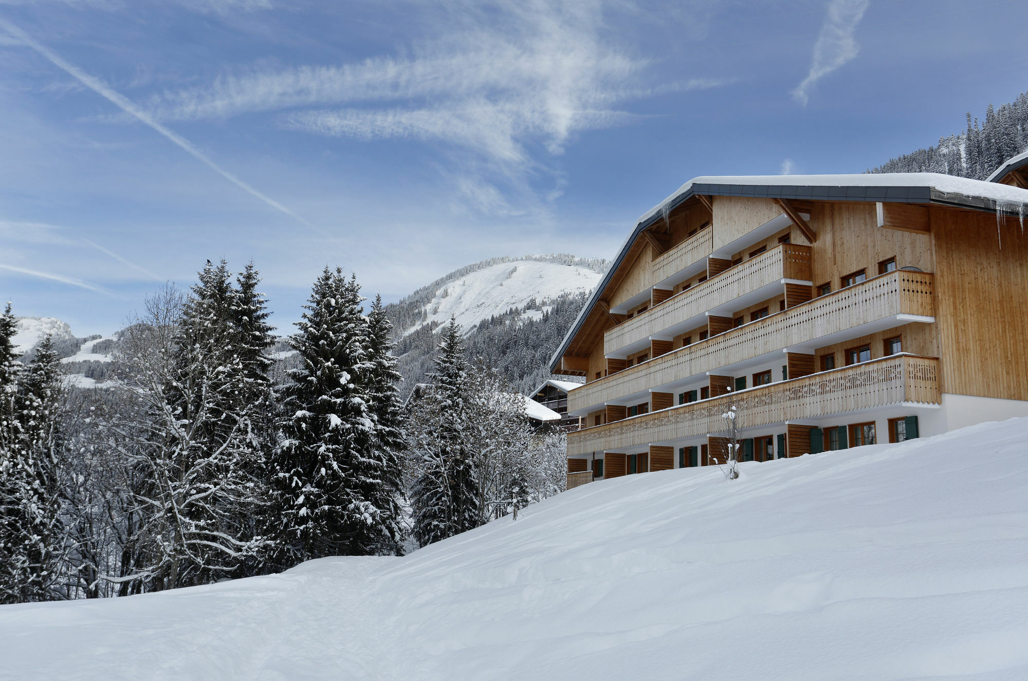 Residence Nemea Le Grand Lodge Châtel Exteriör bild